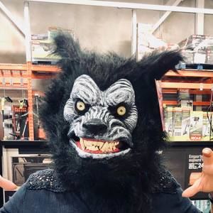 Meet your Posher, Laurence